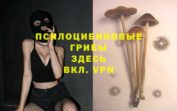 а пвп мука Бугульма