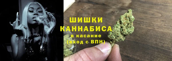 шишки Верхний Тагил