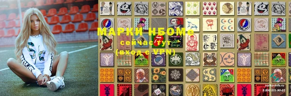 шишки Верхний Тагил