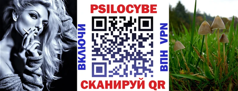 Псилоцибиновые грибы Psilocybine cubensis  Ермолино 